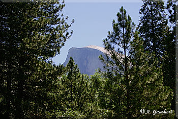 Blick auf Half Dome